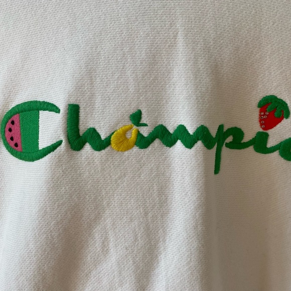 (ONLY WORN ONCE) Urban Outfitters Easter Champion hoodie w/ bedazzled✨ fruit🍉🍓 - Picture 3 of 8